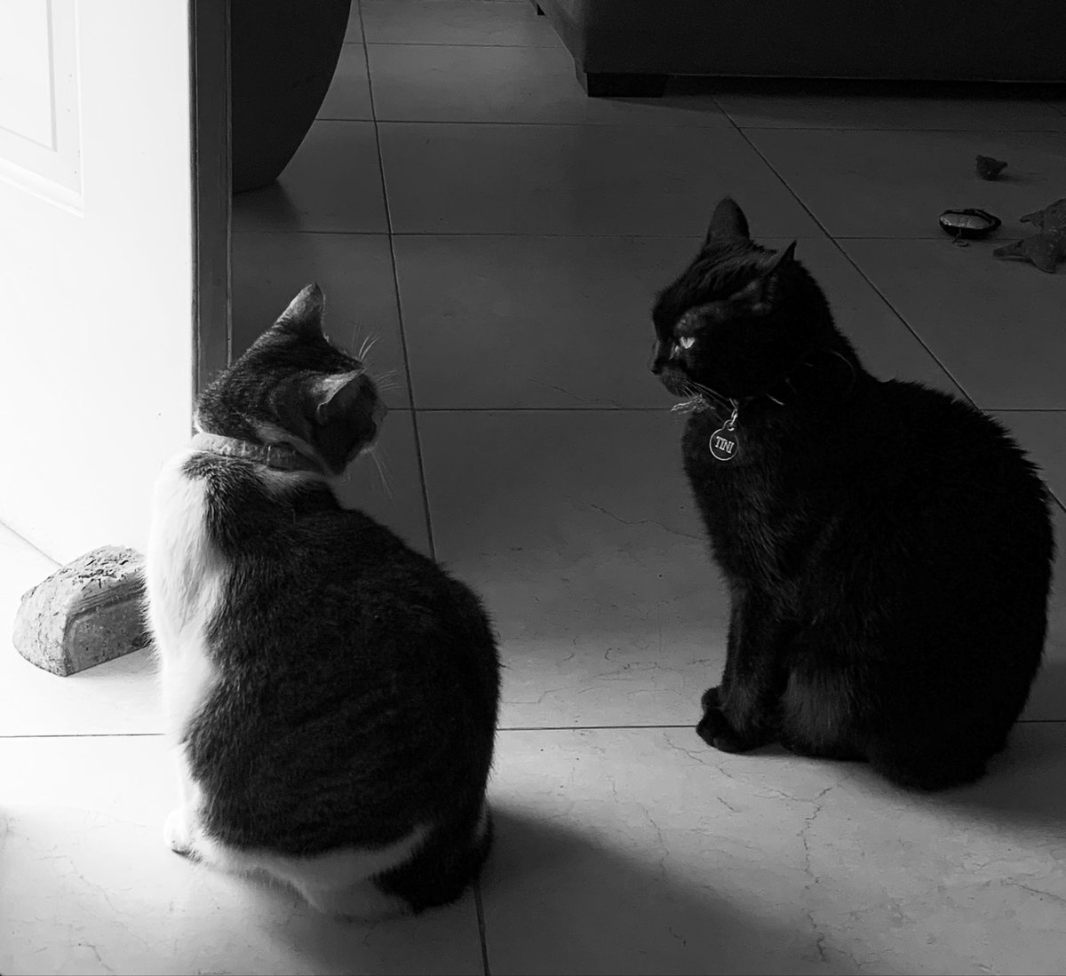 Noir et blanc tweet media