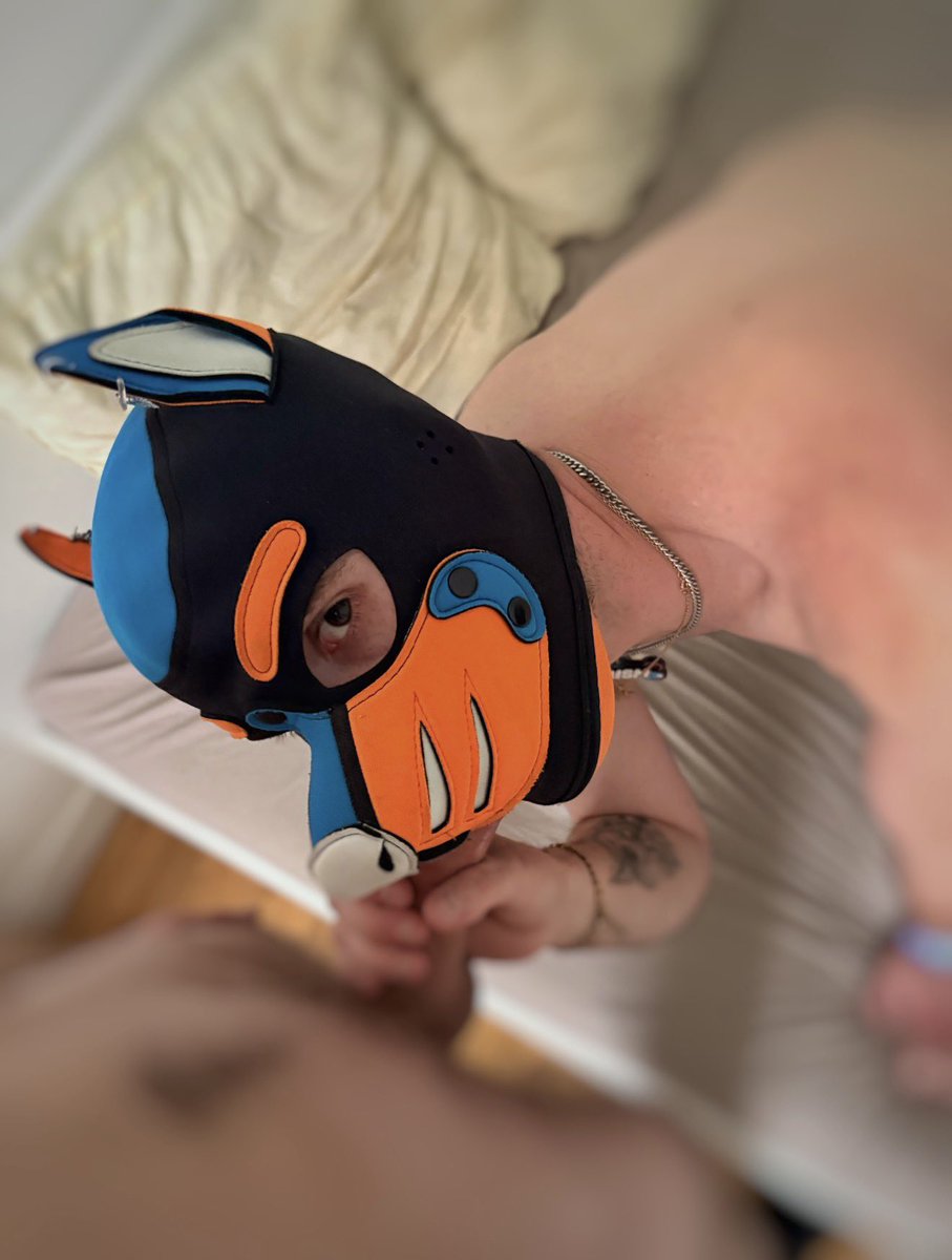 TX_DREAMER_🇫🇷 tweet media