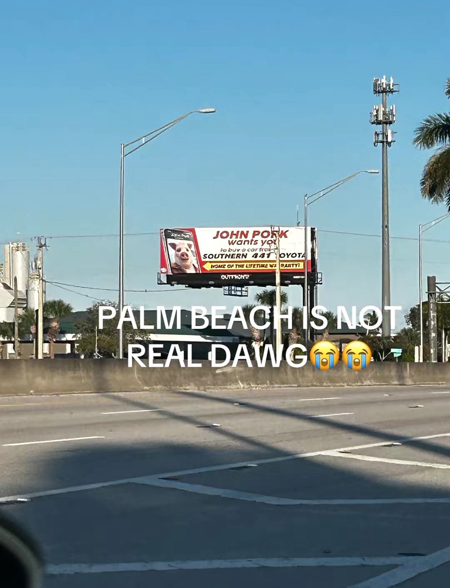 Only In Palm Beach TV tweet media