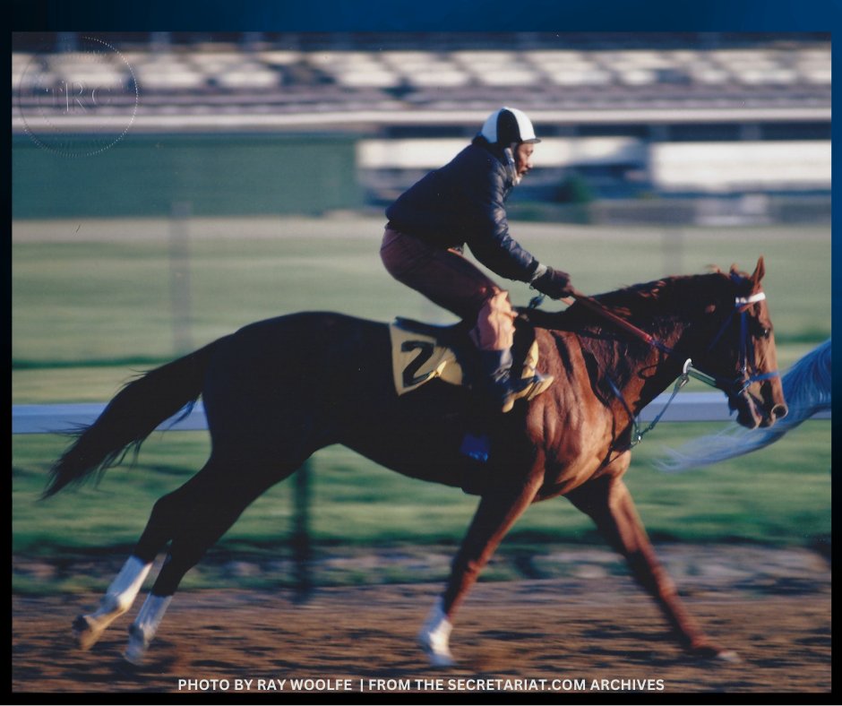 Secretariatprmr's tweet image. #FlashbackFriday: Sunlight glistened on Secretariat and exercise rider Charlie Davis during a pre-Derby workout at Churchill Downs in 1973.

#KentuckyDerbyMemories

Photo by Ray Woolfe, Jr.