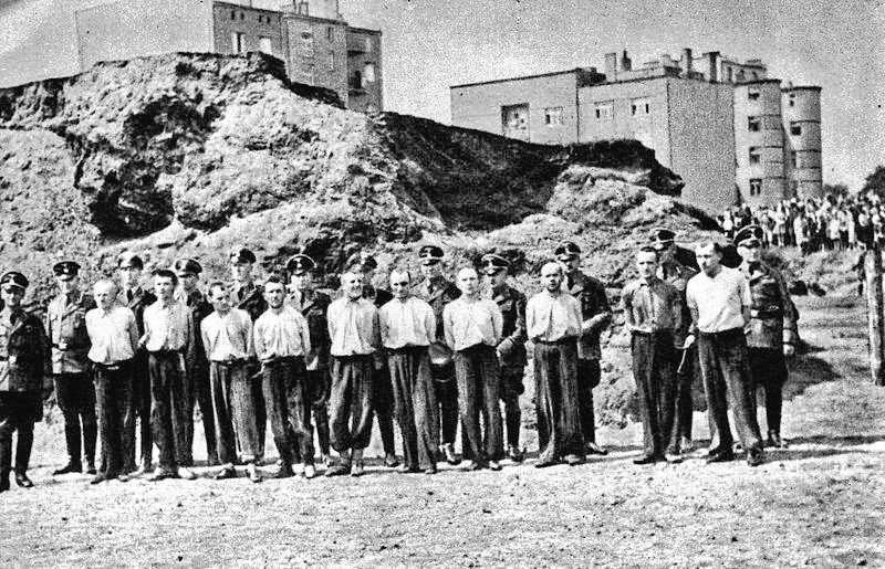 TomFromKatowice's tweet image. My name is Berek Rosenberg 🔯 🇵🇱,
a merchant from Sosnowiec, born on April 2️⃣4️⃣, 1900.
I was murdered by #Germans in their #death camp #Auschwitz on March 20, 1942 at the age of 4️⃣1️⃣ only because I was a #Jew. 
I survived 7️⃣0️⃣ days.
Please, #NeverForget me!
#Genocide 
#WWII