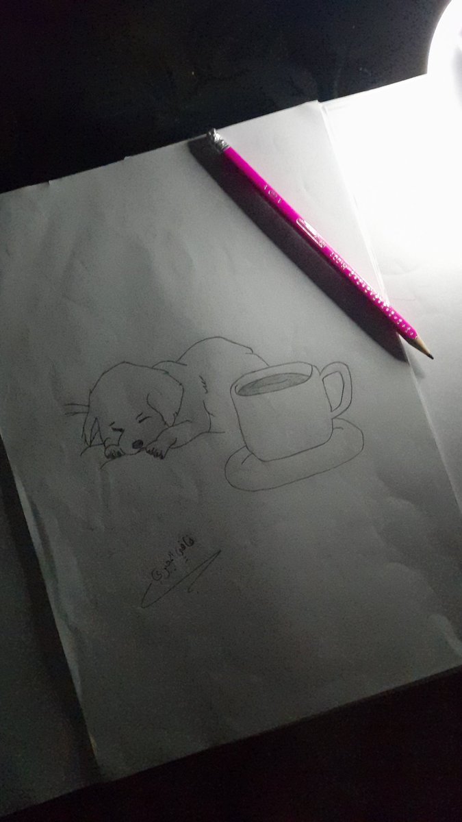 فافي المجبري 🇱🇾🤍 tweet media