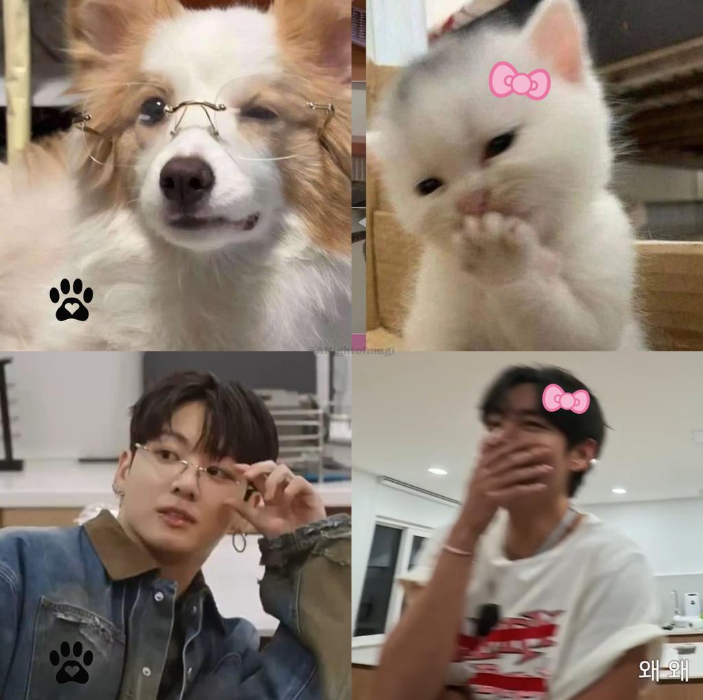 cute ˙˚ʚ(´◡`)ɞ˚˙