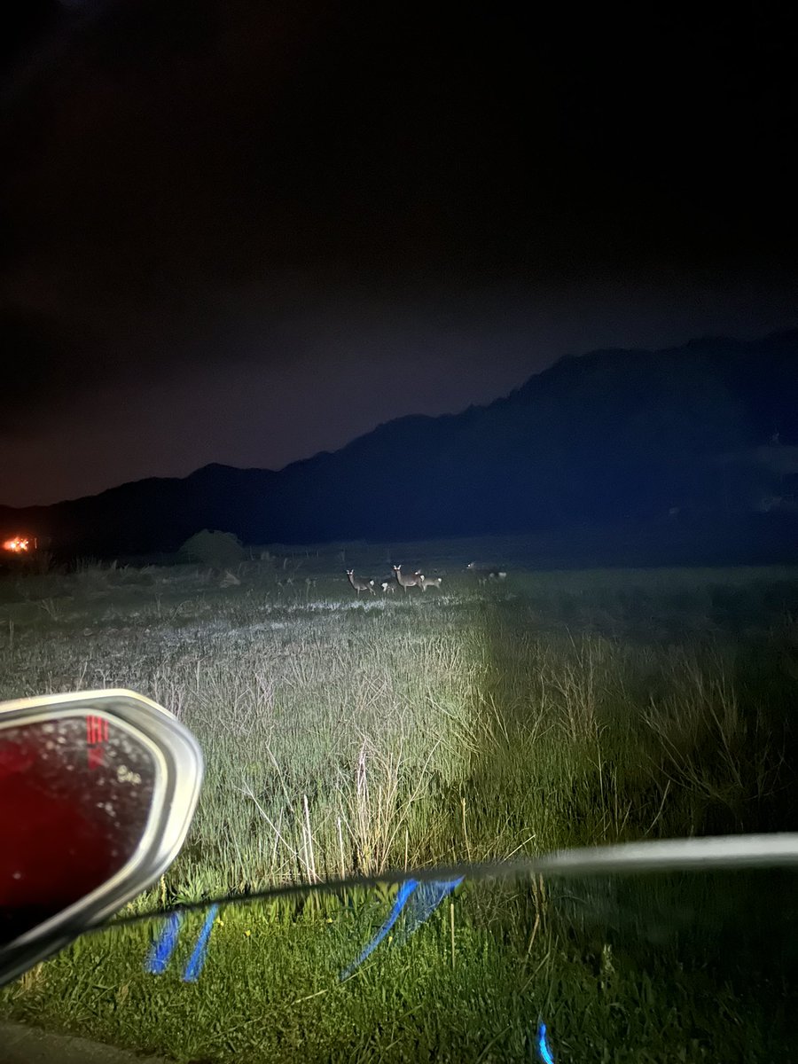 ゆなたそ tweet media