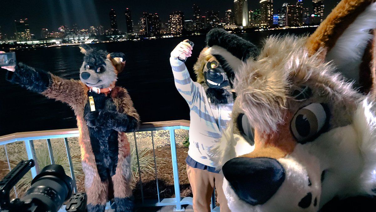 RyeTheYote's tweet photo. Influencers these days... always trying to get the perfect shot of the city. But they miss the real thing people want to see- coyotes. #FursuitFriday

✨️Influencers✨️: @Tyler_TheFox &amp; @MarsYips https://t.co/tjW4CItGUF