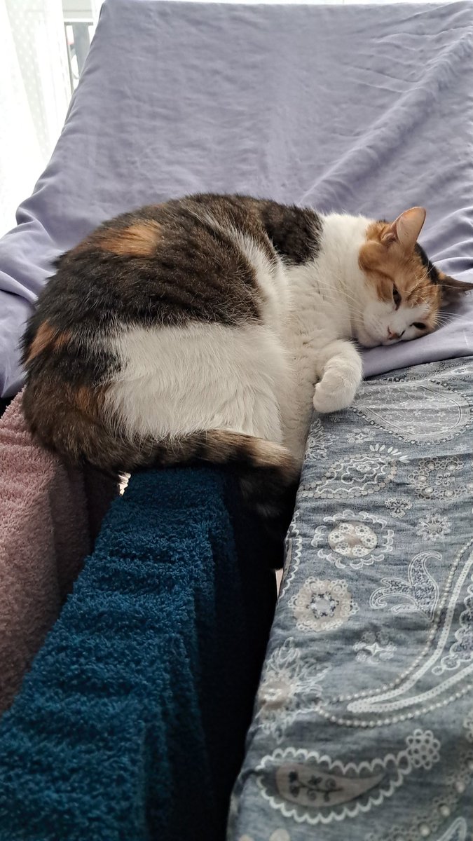 fiszi22's tweet image. #ff ze ☀️ Małej Sycylii, pozdrawiamy Pana Qlka