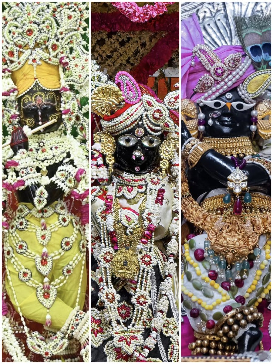 Radhika Ras 🪷 tweet media