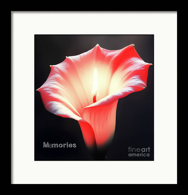 PhotosbyEddie's tweet image. Check out this new digital art that I uploaded to fineartamerica.com/featured/a-lum… #Candle #Flower #Memories #GreetingCards #WallArtForSale #Google