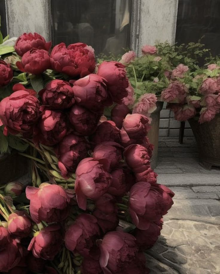 Flowerslovers44's tweet photo. https://t.co/1fQuiNwCHD
