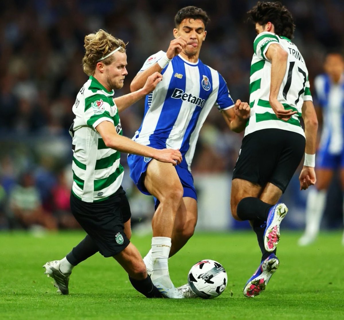 Sporting Adeptos 🏆🏆 tweet media