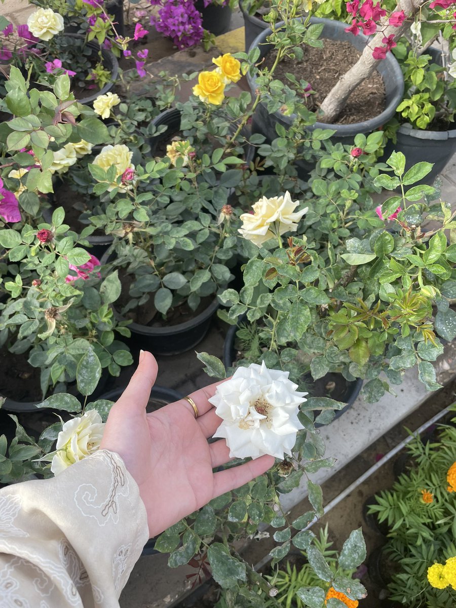 مُنمُن tweet media