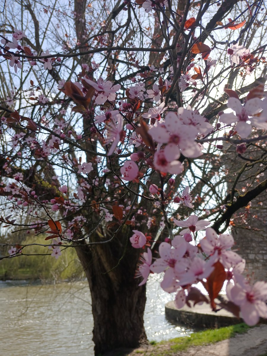 Dreamheadz's tweet image. #photo Francis H Powell #naturephoto