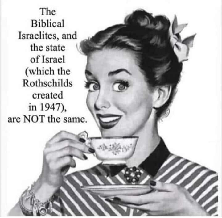 whiterabbit tweet media