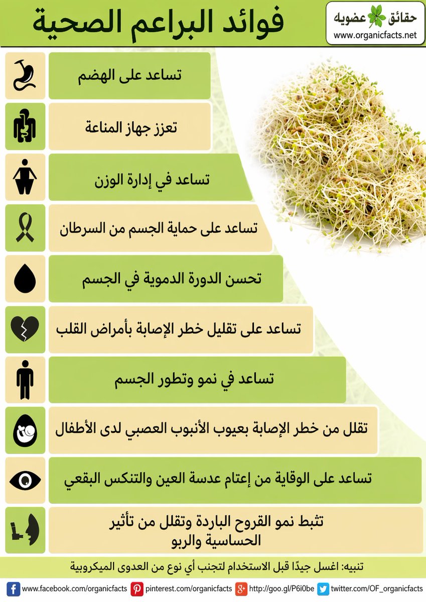 AfghaniHani's tweet photo. #معلومة_تهم_الباحثين 
فوائد المستنبتات أو البذور المستنبتة ... أو البراعم الصحية...
أولا مصنع غني بالخلايا الجذعية 
مضادات أكسدة محاربة للأجسام الحرة المسرطنة 
للجهاز الهضمي وحدة بوحدة 
اللهم اجعله علما نافعا وأفد به العباد
وهذه براعمي ومستنبتاتي الخاصة ومراحلها 👇👇 https://t.co/Q6h6eOSNjx