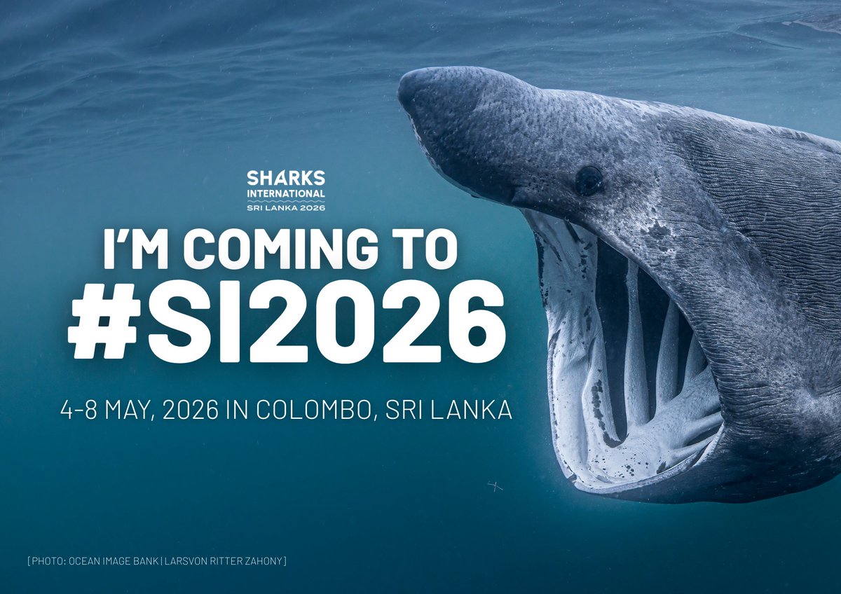 SamAlosha1's tweet photo. I’m delighted to present my poster, “From Fear to Stewardship,” at Sharks International 2026. Please come by and explore my findings on how communities truly view sharks in their daily lives, through authentic voices and local experiences. https://t.co/gDPcpD0kbs