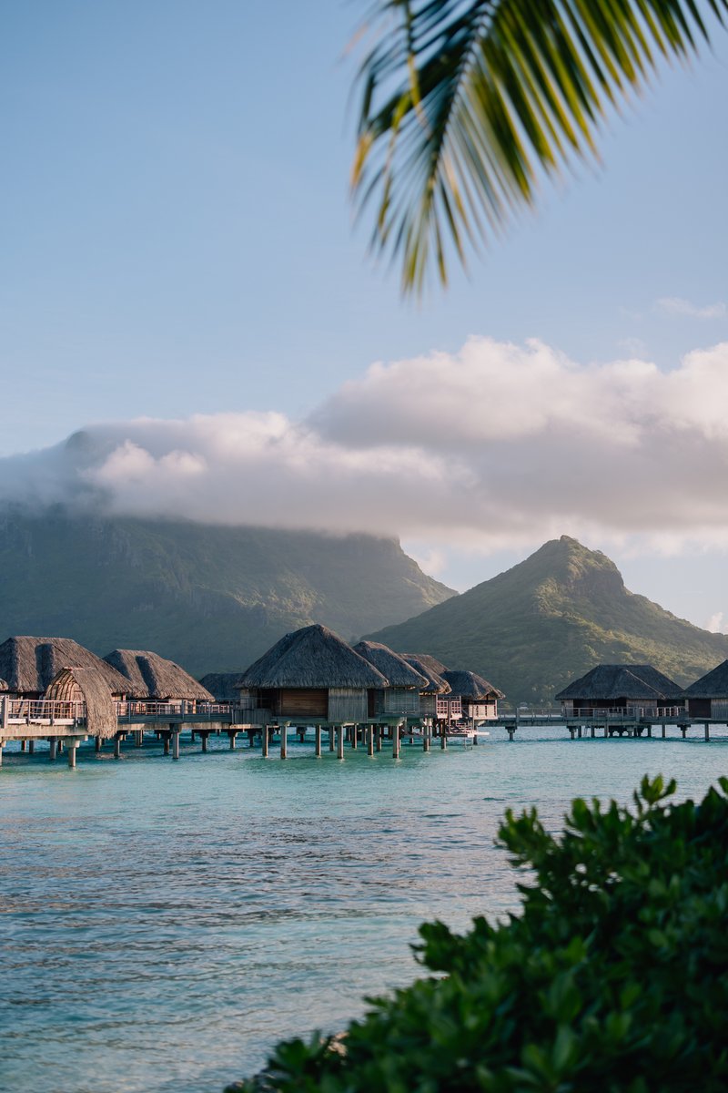 FSBoraBora's tweet photo. When time begins to slow, one more day makes all the difference. Stay three nights and enjoy a fourth, with our compliments. https://t.co/9vozGz2voT