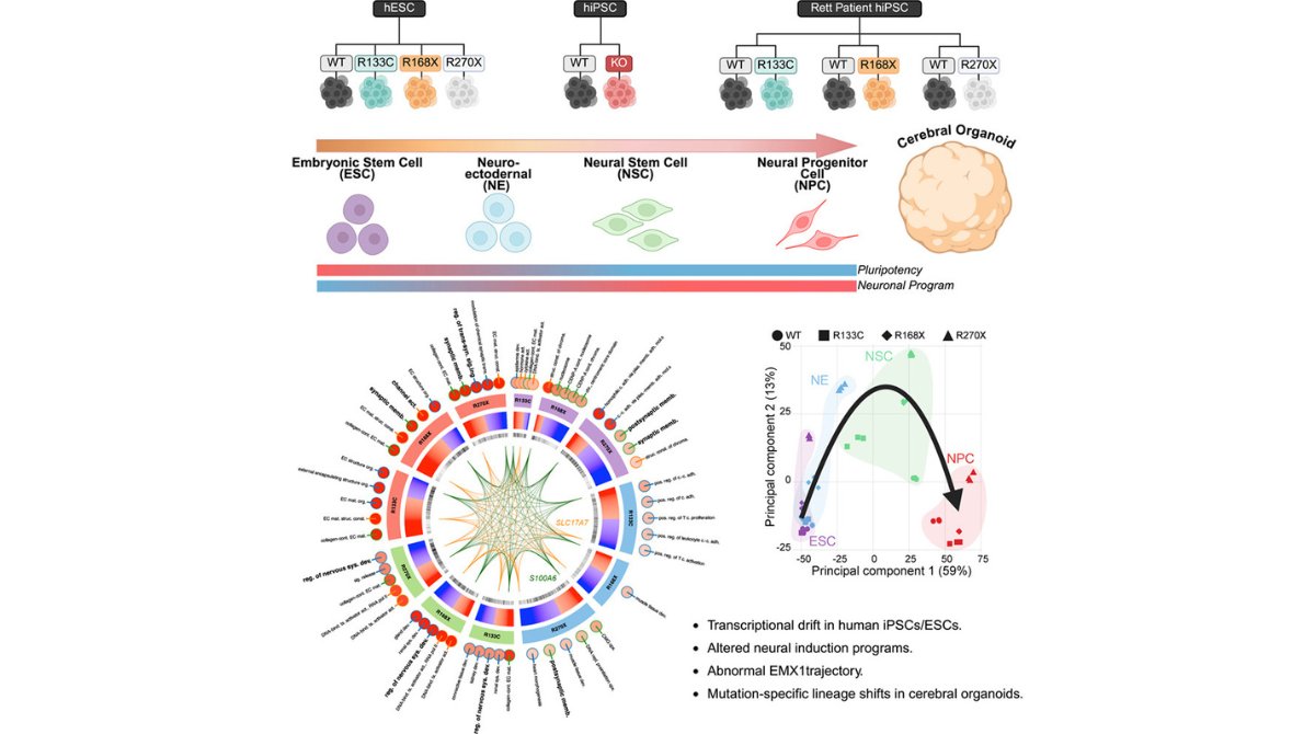 StemCellReports tweet media