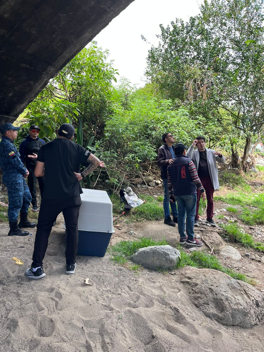 CGACuenca's tweet photo. Rescate animal en #3Puentes
Gracias al trabajo articulado entre la @CGACuenca, #PatrullaCanina, Bomberos , EMOV EP, Guardia Ciudadana , Desarrollo Social y Fundación ARCA , se rescató a 3 mascotas en condición de vulnerabilidad.
Serán trasladadas para su valoración veterinaria https://t.co/D6jd3DBJhQ