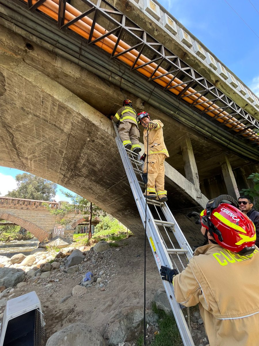 CGACuenca's tweet photo. Rescate animal en #3Puentes
Gracias al trabajo articulado entre la @CGACuenca, #PatrullaCanina, Bomberos , EMOV EP, Guardia Ciudadana , Desarrollo Social y Fundación ARCA , se rescató a 3 mascotas en condición de vulnerabilidad.
Serán trasladadas para su valoración veterinaria https://t.co/D6jd3DBJhQ