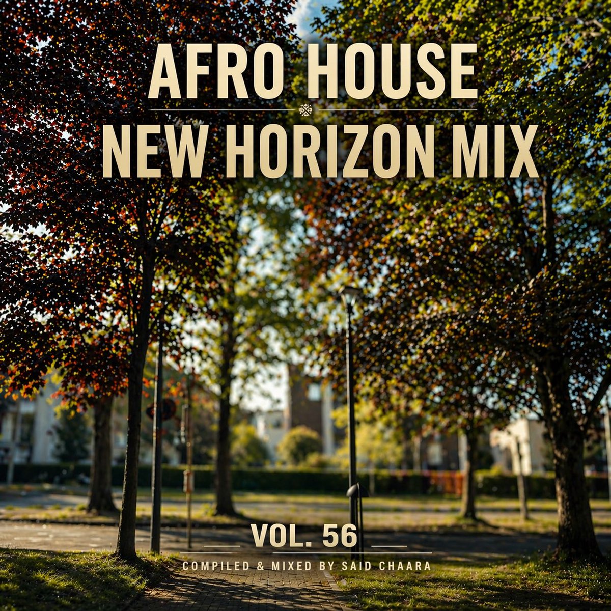 SAID CHAARA tweet media