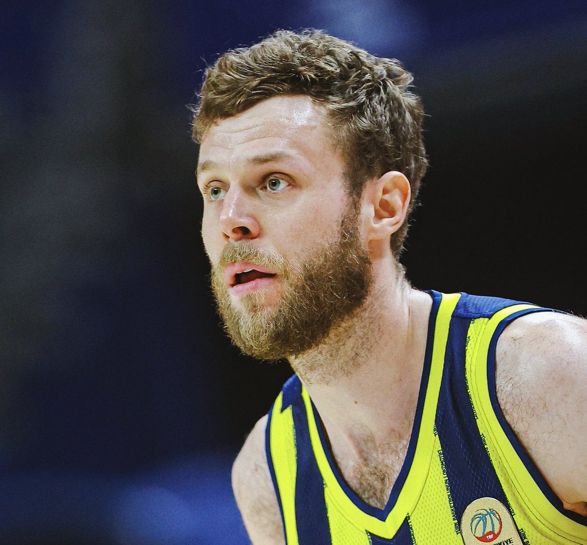 GFB Basketbol tweet media