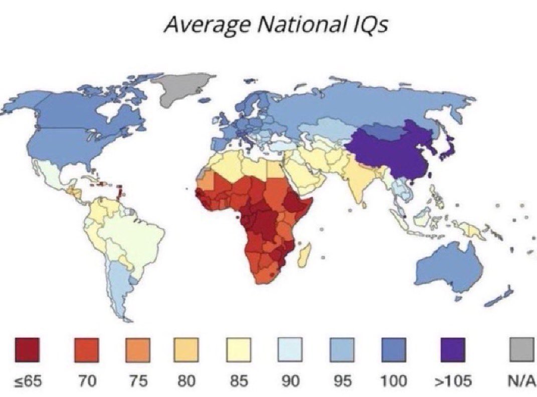 Avi Kushner 🎗️ tweet media