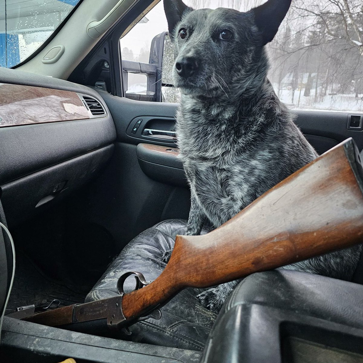 Pisser Dick tweet media