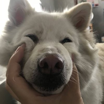 Luna 🌹 tweet media