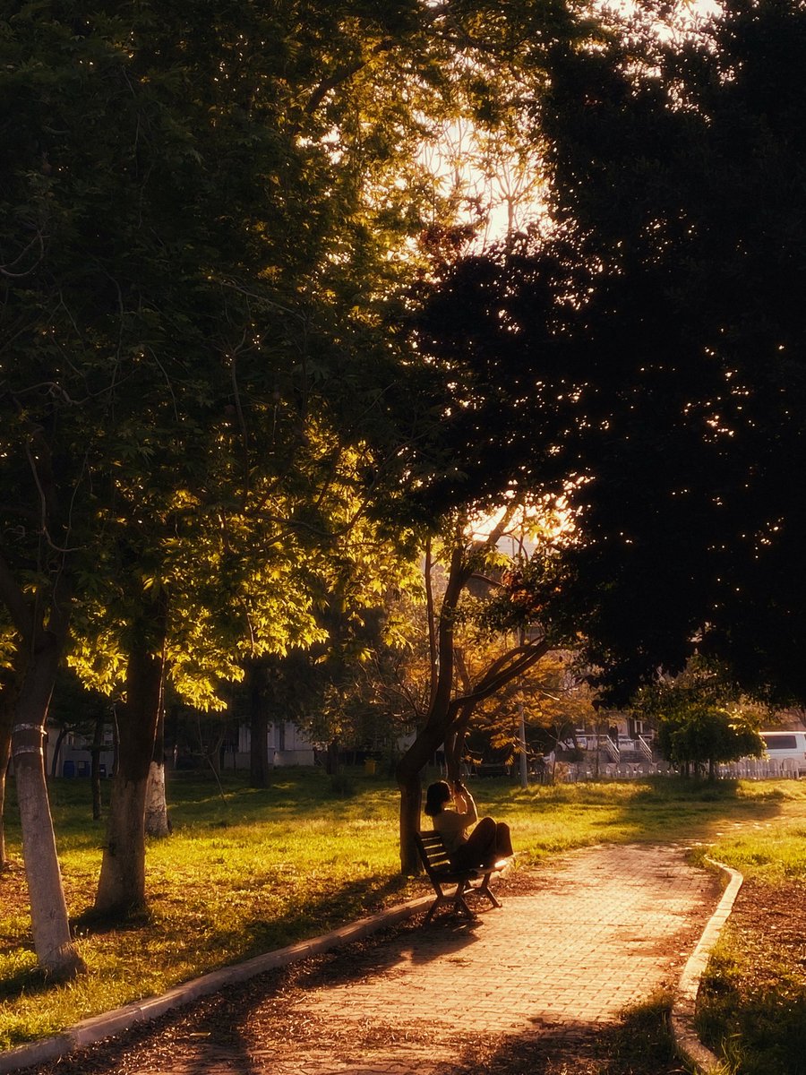 Saon 𓏲𝄢 | 사온 tweet media