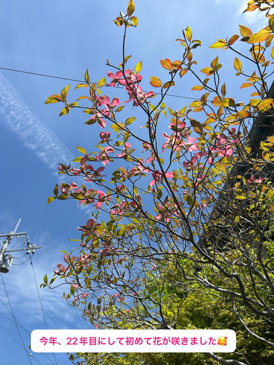 なこちゃん tweet media