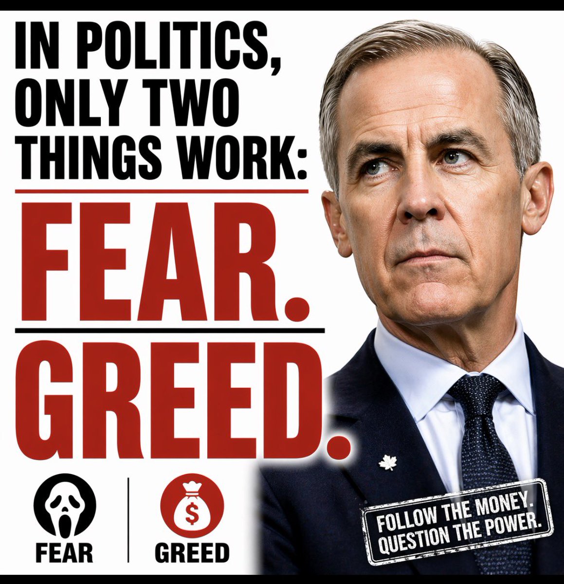 wealthmoose tweet media