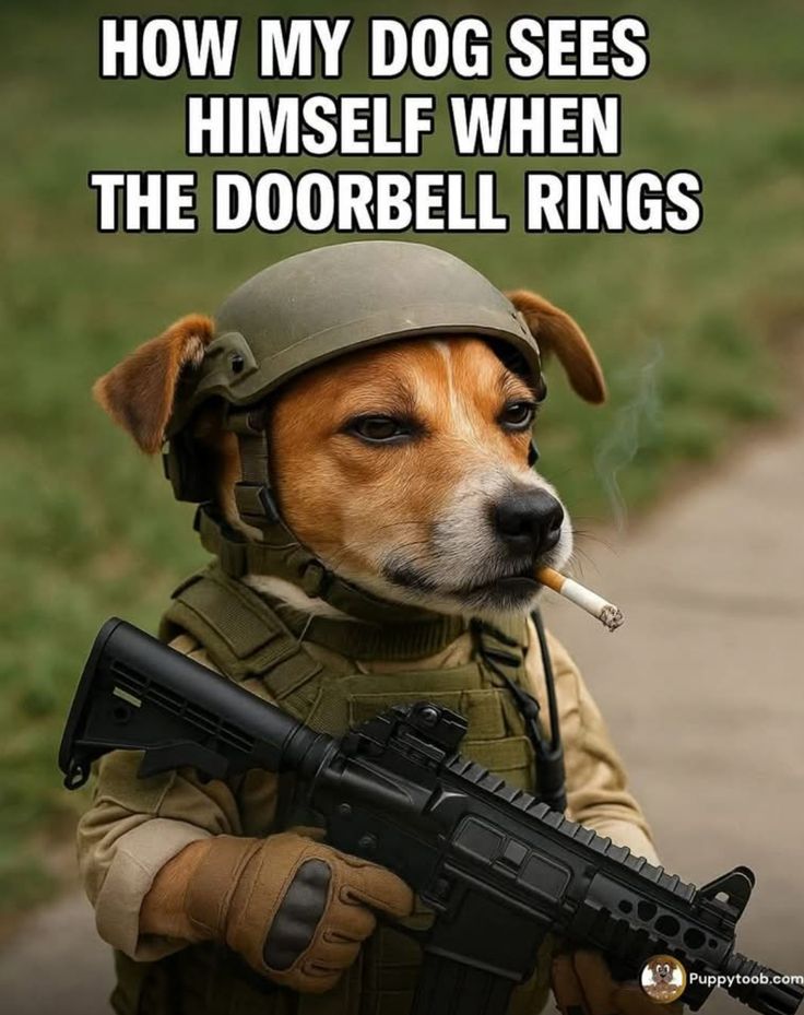 Austin Capps tweet media