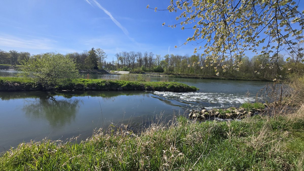 AlexderKleine82's tweet image. Heute spontan das Gravelbike gepackt und für 3 Tage Bikepacking unterwegs. Einfach das Wetter 🌞🍀🌳genießen.
Heute schon 107 km unterwegs...
#gravel #gravelbike #Bikepacking #nature #sun
