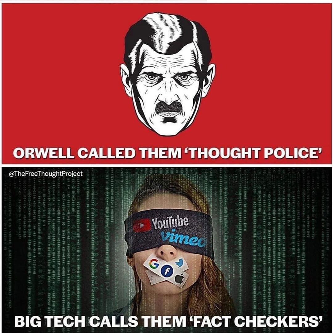 Declaration of Memes tweet media