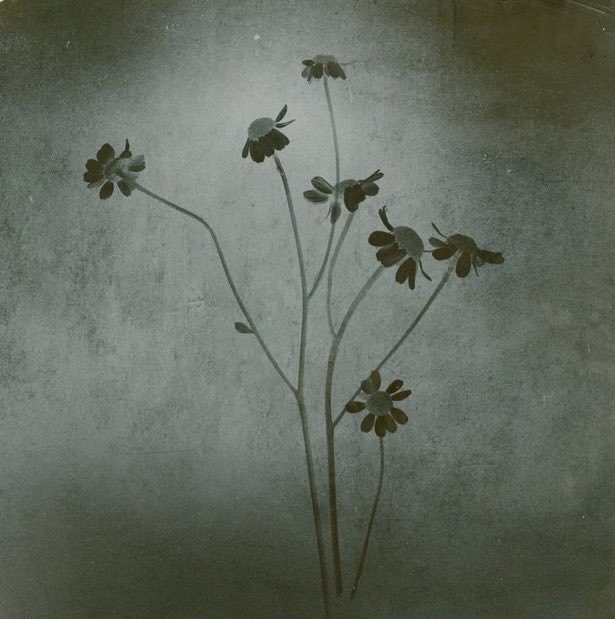 Grande Hub tweet media