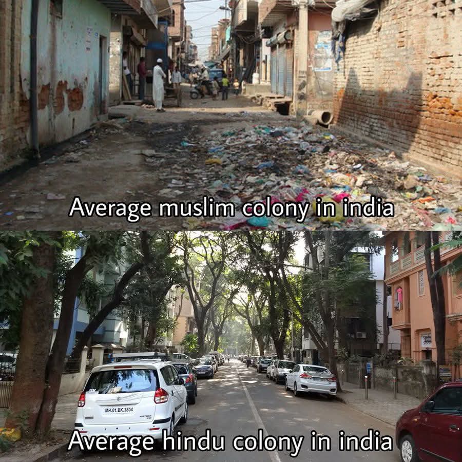 Fact