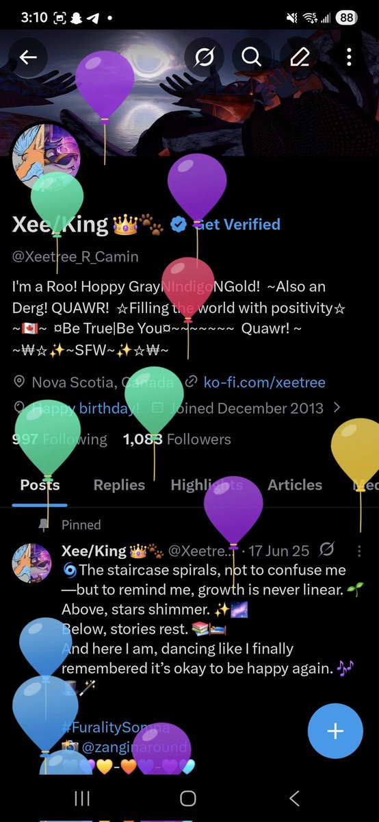 Xee/King 👑🐾 tweet media