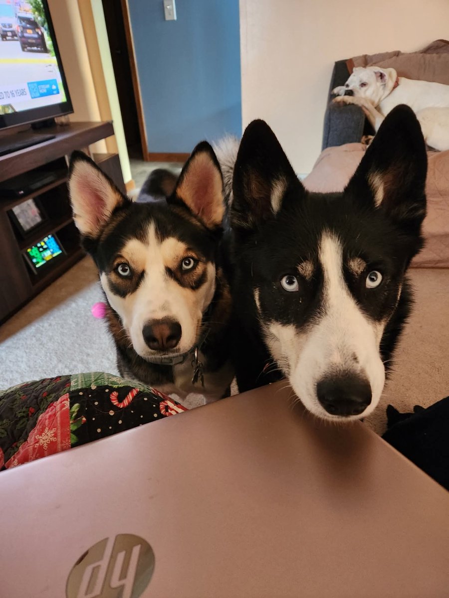 RoxyBloodMoon tweet media