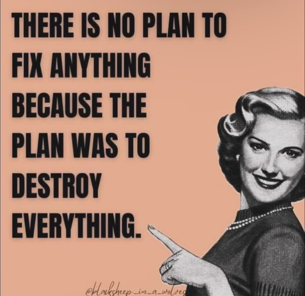 You're witnessing the controlled demolition of your nation and both parties are responsible