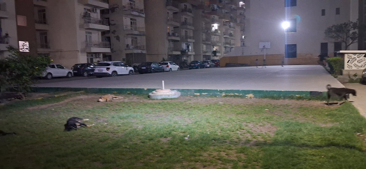 RahulV80220's tweet image. Stray dogs in our society have become a serious concern, affecting safety of residents, children and senior citizens. Sadly, the issue is being ignored. Urgent attention from authorities and community members is needed for humane and effective action. #CommunitySafety #StrayDogs