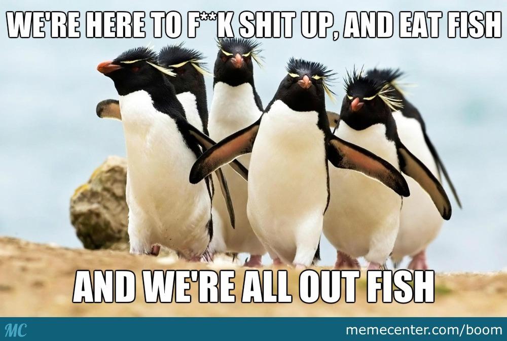 Penguin Team Six 🐧T6 tweet media