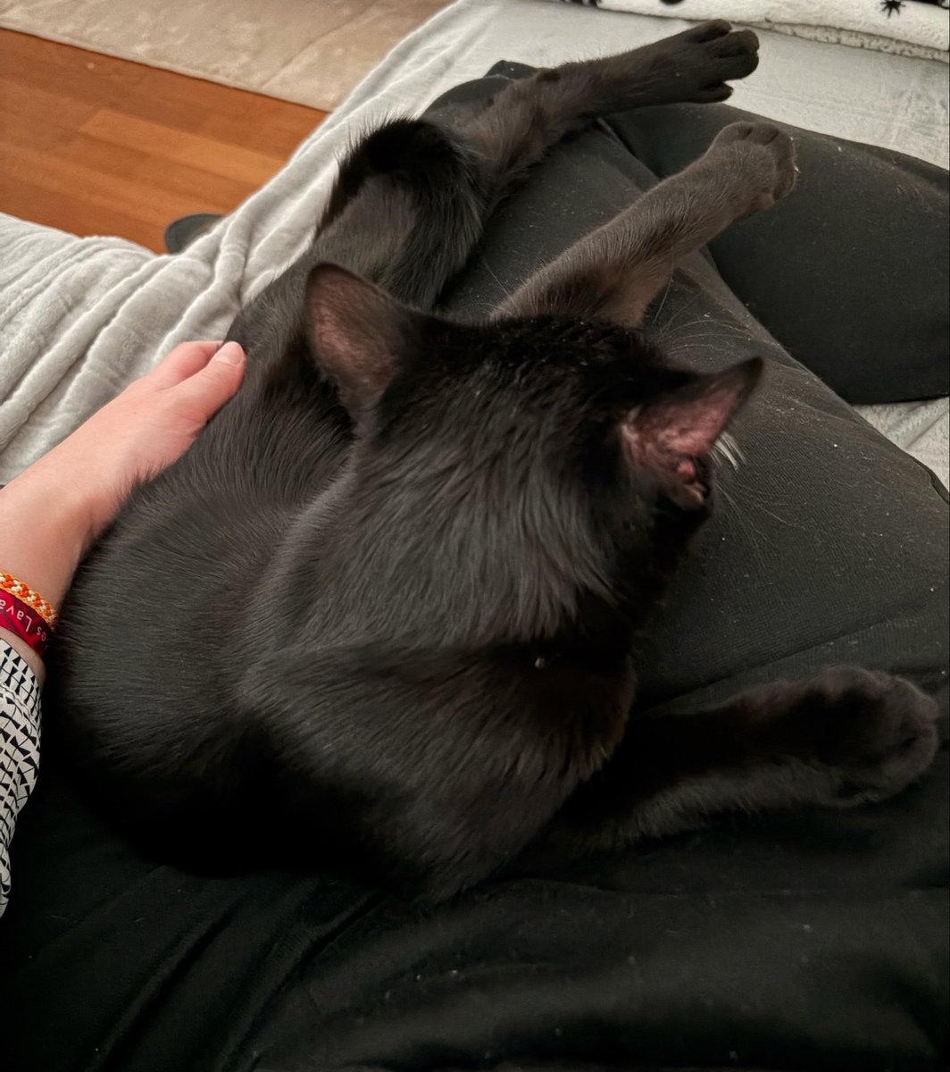 chlo 🍒 tweet media