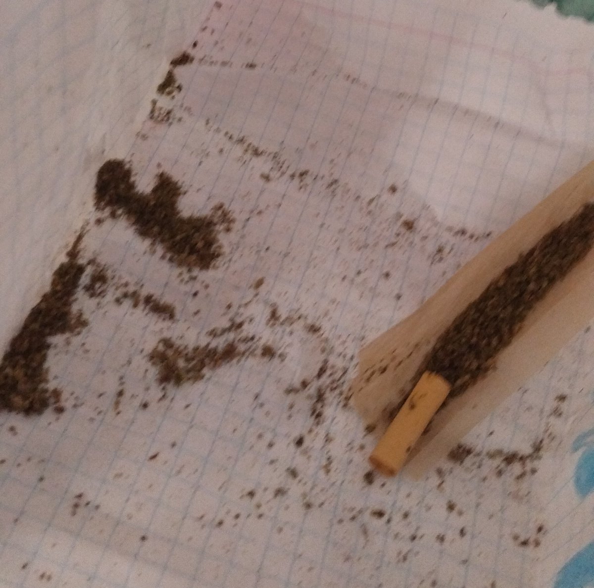 Yᴀʀɪ. ♱ tweet media