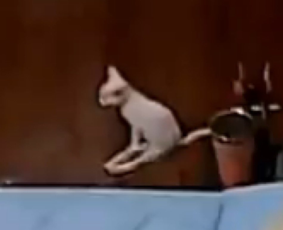 indo fazer ressonância magnética