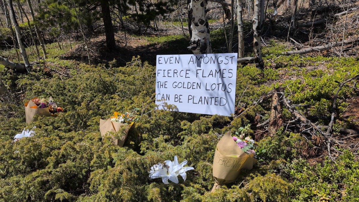 John Christian Spadavecchia tweet media