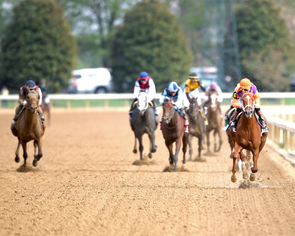 keenelandracing's tweet photo. Talkin Back on Work Tab in Advance of Possible Preakness Start. Read #BarnNotes → https://t.co/CCiehEbLA4 https://t.co/i5QBVGoqt4