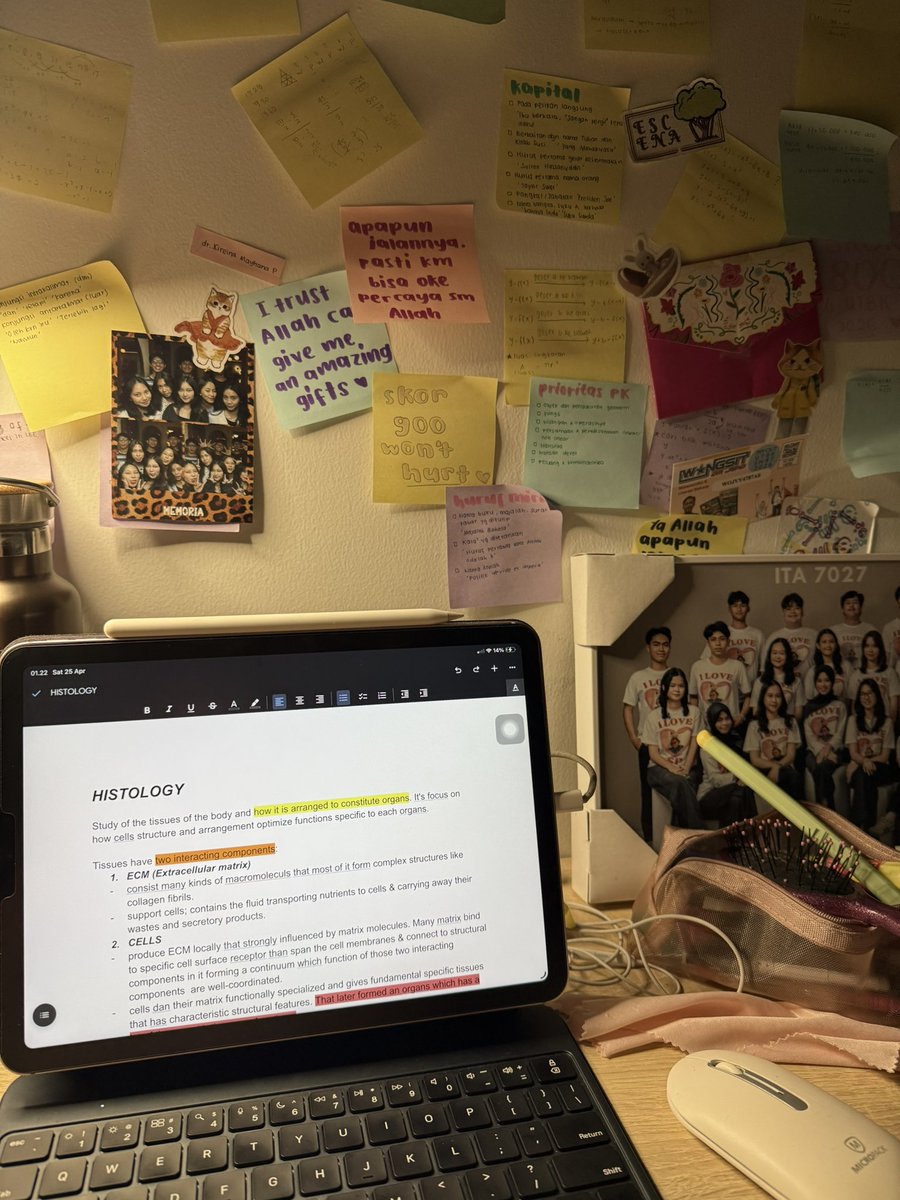 𐙚 kirei '26 👩🏻‍⚕️🩺 tweet media