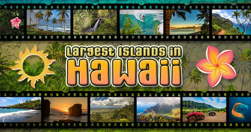 tropicalitytrvl's tweet image. Your ticket to unparalleled experiences, here are the largest islands in Hawaii. 🌺🌴🌊 
tropicality.com/largest-island… 
#hawaii #traveltips #travelblog #tourism