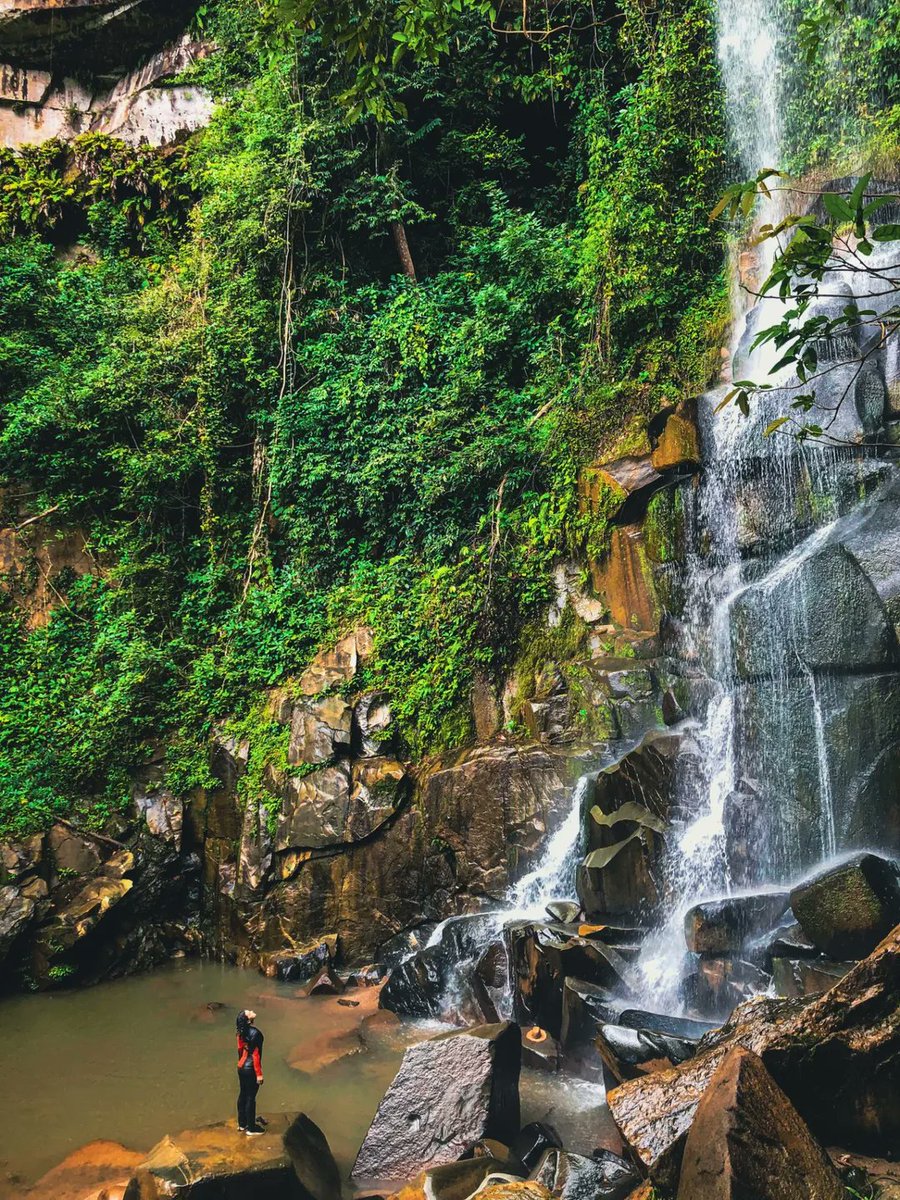 MTurismo's tweet image. 📍Mirindiba (TO)

No coração do Tocantins, cenários surpreendentes revelam a força e a beleza do Cerrado brasileiro.

Entre paisagens únicas e natureza preservada, o destino convida a viver experiências autênticas e cheias de encanto.

📸 @ludidionizio
🔹 Use a #mtur 🔹

#TO