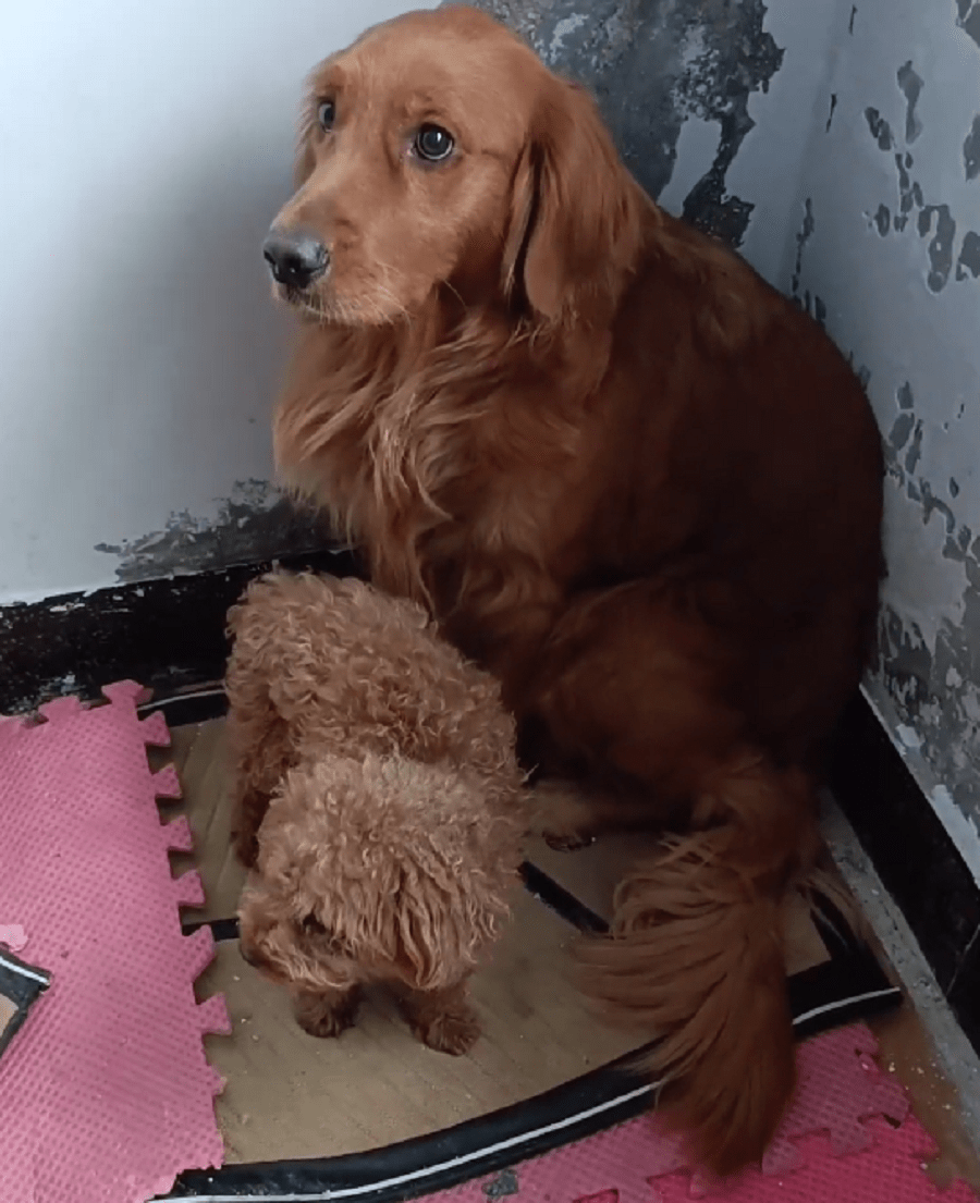 Kevin Zanercik tweet media